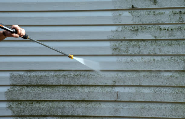 Best Home Mold Removal  in Jermyn, PA