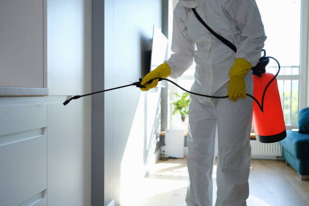 Best Toxic Mold Removal  in Jermyn, PA