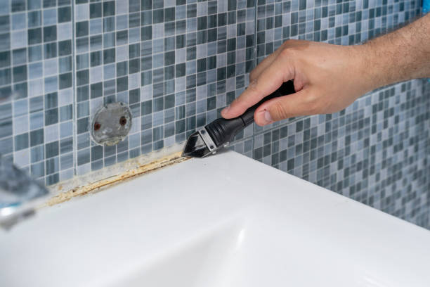Best Mold Cleaning Services  in Jermyn, PA
