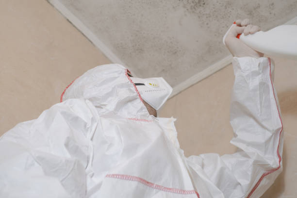 Best Professional Mold Removal  in Jermyn, PA