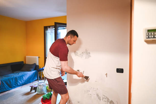 Best Certified Mold Removal  in Jermyn, PA