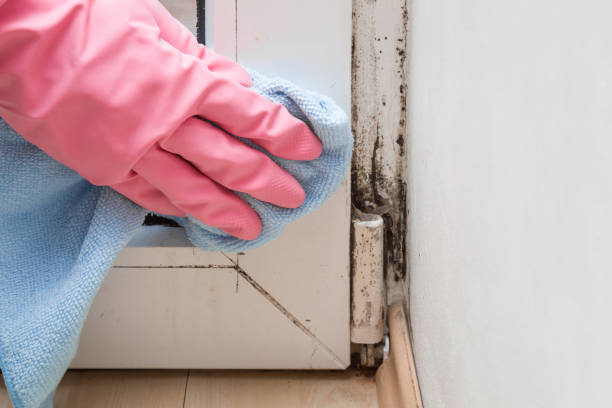 Best Residential Mold Removal  in Jermyn, PA