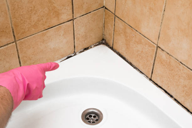 Best Mold Removal Near Me  in Jermyn, PA